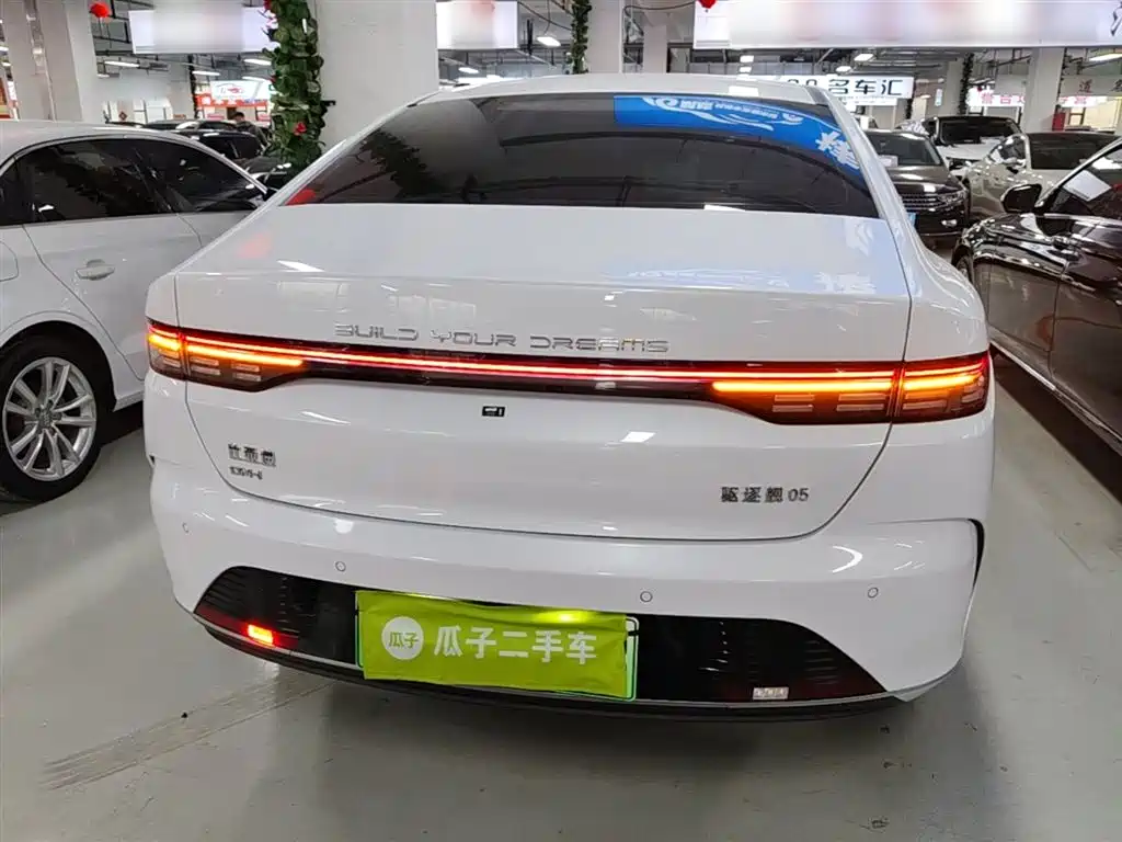 BYD Destroyer 05 2023 Model Champion Edition DM-i 120KM Luxury фото 4