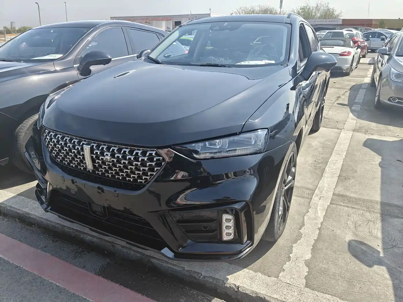 WEI PAI WEI BRAND VV7