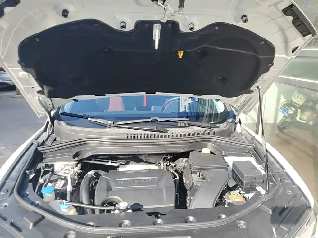 Haval H2s 2019 2018 Red Label 1.5T DCT Smart Elite Type