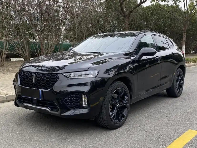 WEI PAI WEI BRAND VV7