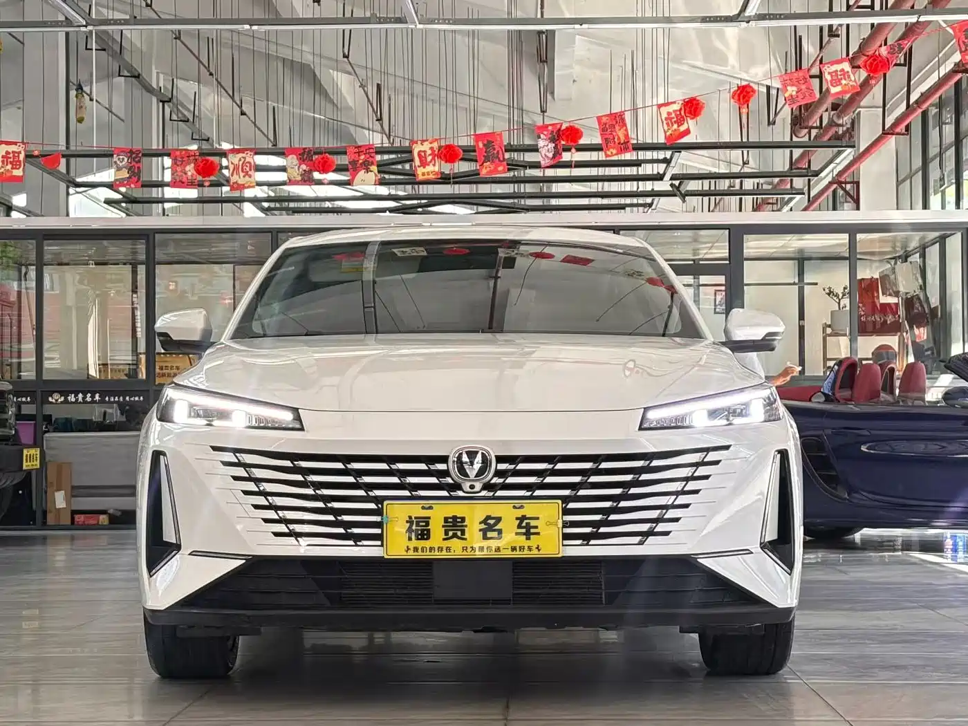 Фото 2 - Changan Eado