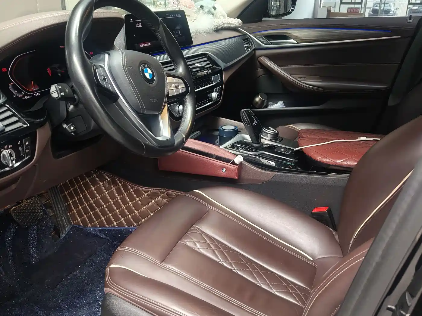 BMW 5 Series 2020 530Li Leading Luxury Package фото 4