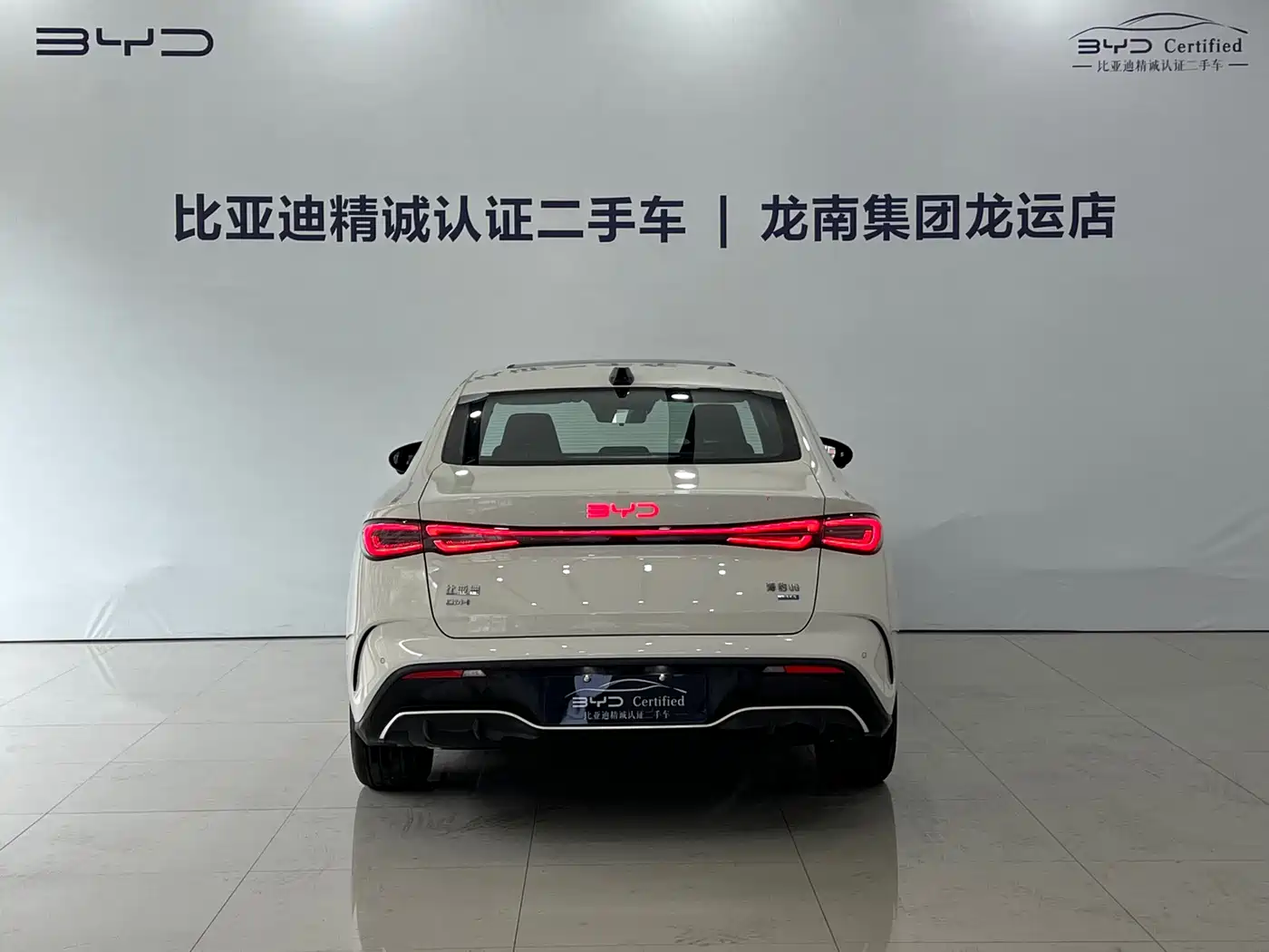BYD Seal 06 New Energy 2025 DM-i Smart Drive Edition 120KM Luxury фото 5
