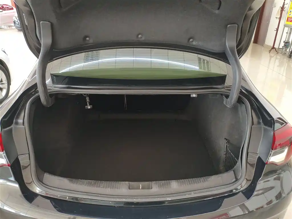 Buick Regal 2020 552T Elite фото 19