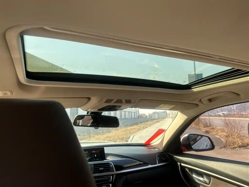 BMW 3 Series 2019 320Li xDrive Fashion Type фото 5