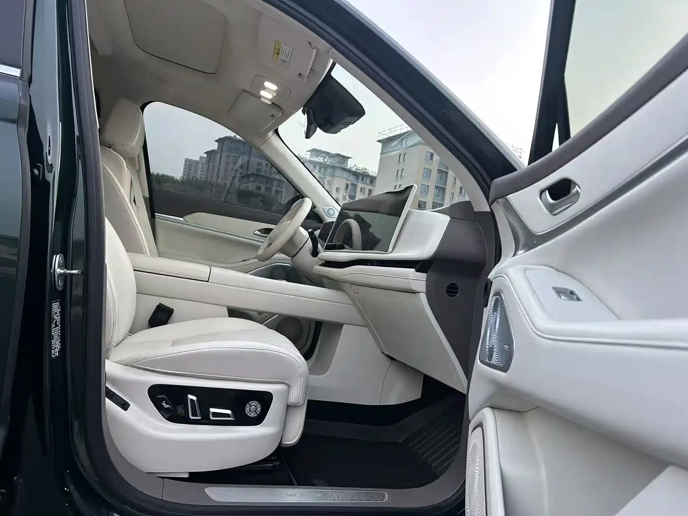 WEI PAI WEI BRAND BLUE MOUNTAIN