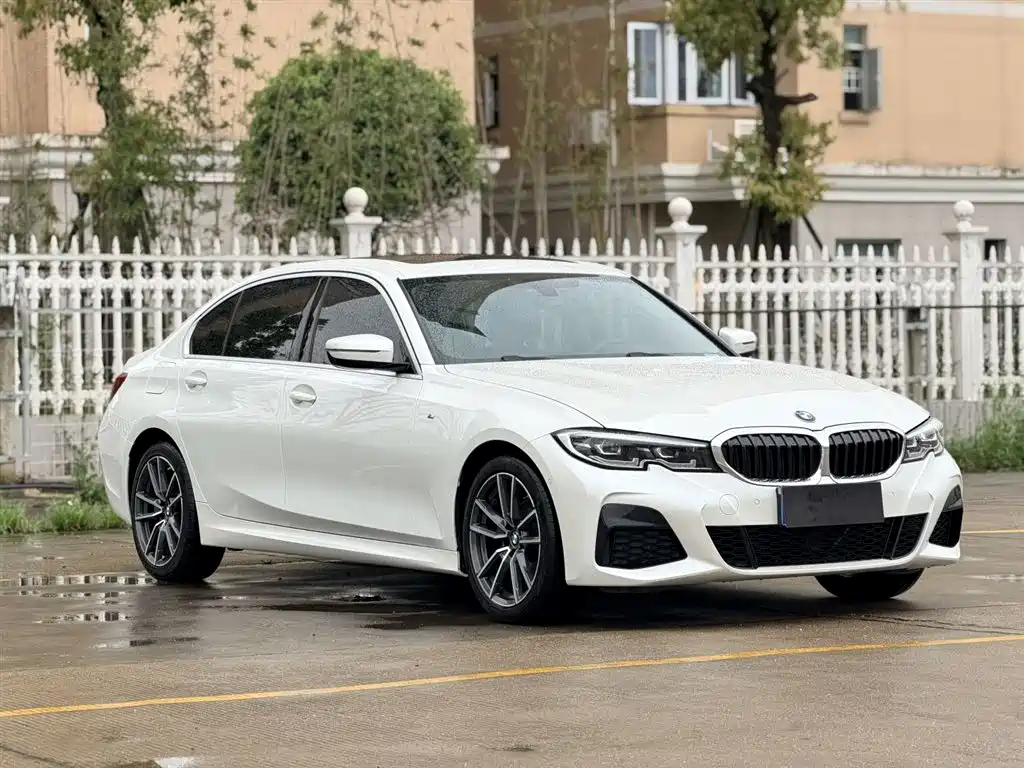BMW 3 Series 2020 320Li M Sport Package фото 4