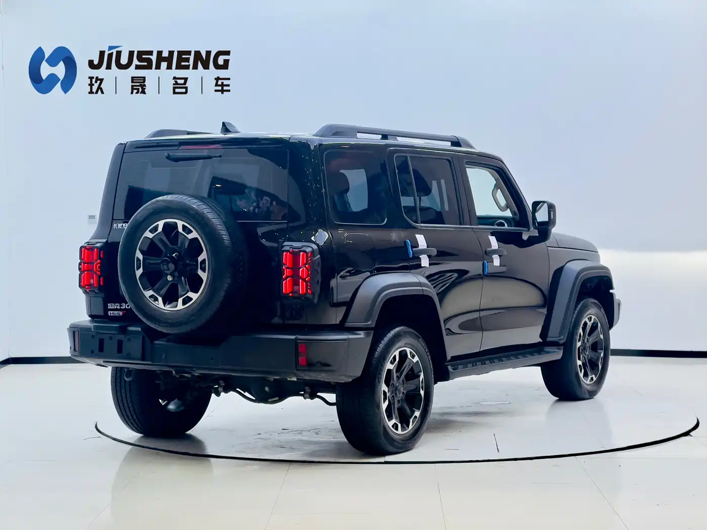 TANK TANK 300 NEW ENERGY