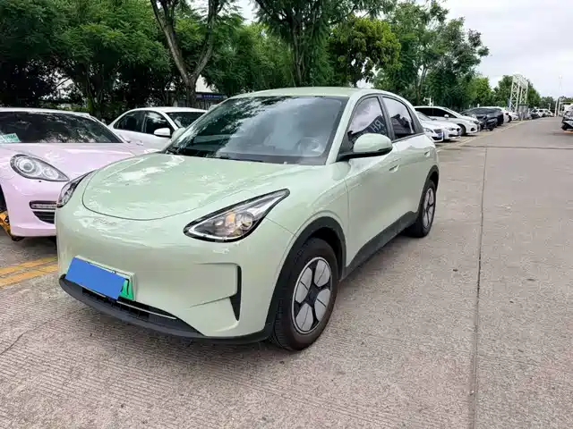 Geely Xingyuan 310km, Юность