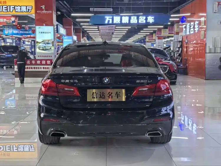 BMW 5 Series 2020 530Li Exclusive M Sport Package фото 20