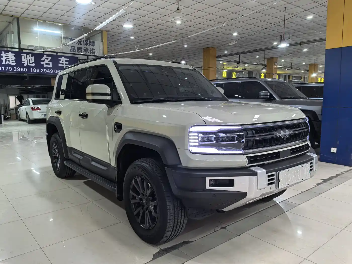 FANG CHENG BAO LEOPARD 5