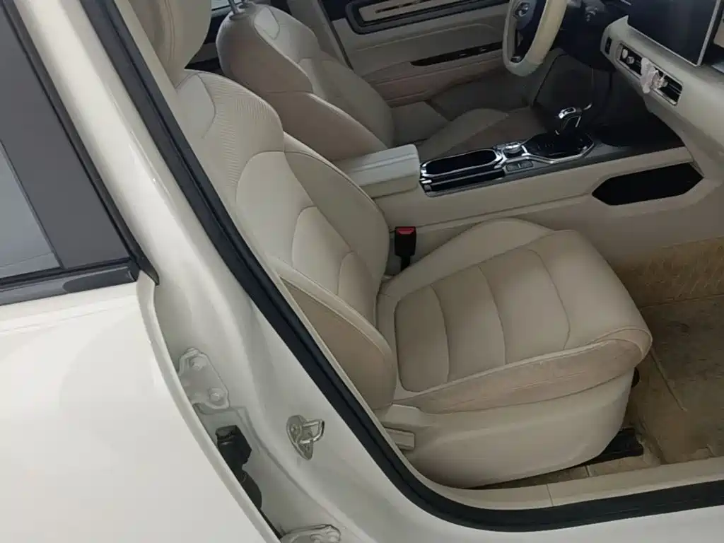 Фото 25 - Geely ICON