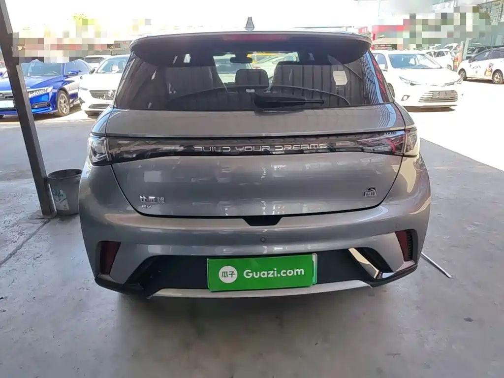 Фото 6 - BYD Dolphin