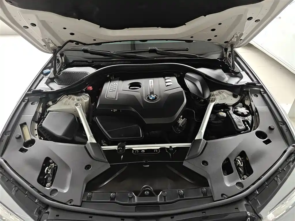 BMW 5 Series 2020 530Li Leading M Sport Package фото 20