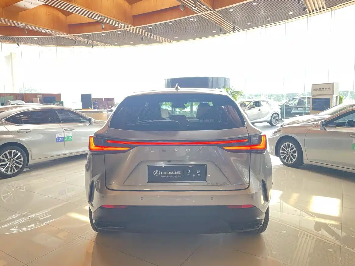 Lexus NX New Energy 2023 2023 400h+ Joy Edition