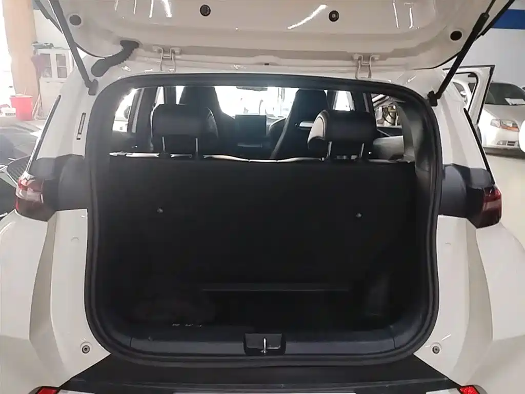 BYD Seagull 2023 Freedom Edition фото 19