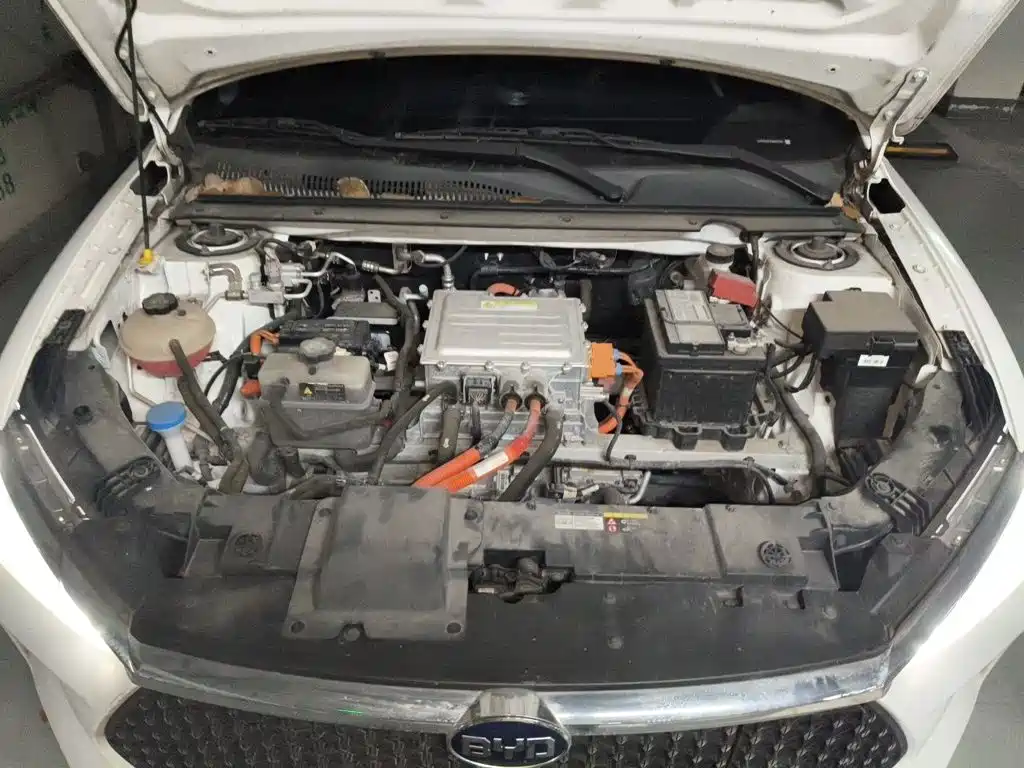 BYD e2 2021 2021 Luxury Edition