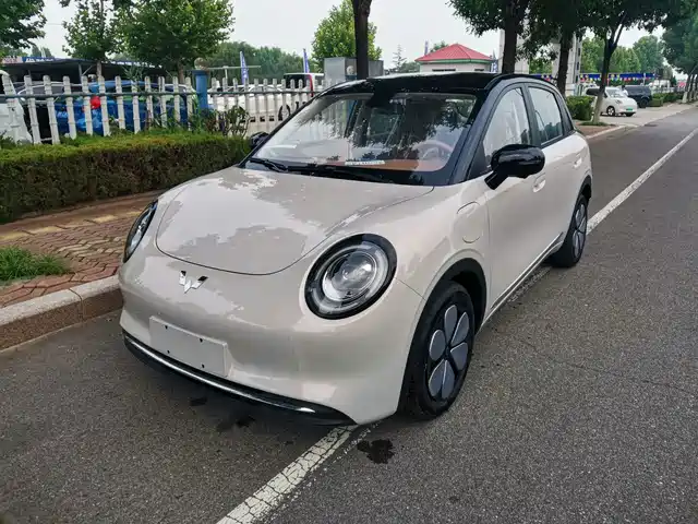  Wuling Motors Binguo Pro