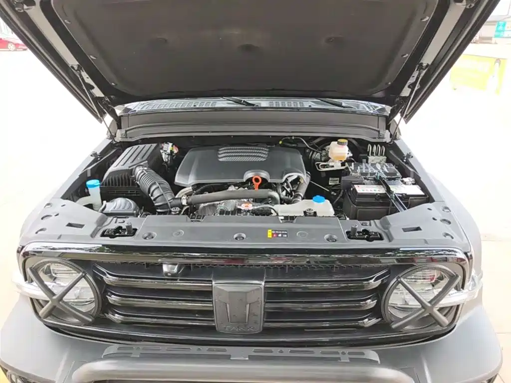Tank 300 2021 Off-road Edition 2.0T Challenger фото 20