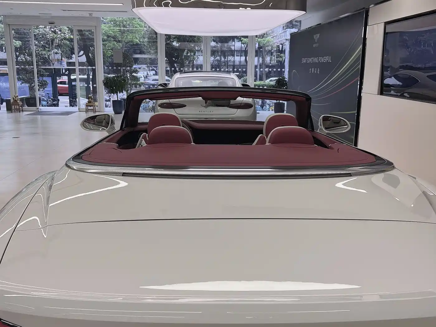 Bentley Continental 2025 2024 4.0T GT V8 Convertible