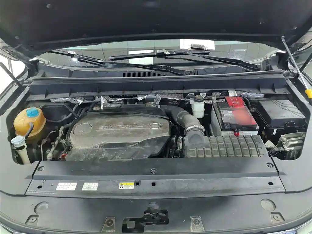 GAC Trumpchi Trumpchi GS8 2017 320T 2WD Luxury Smart Connect (7-seater) фото 11