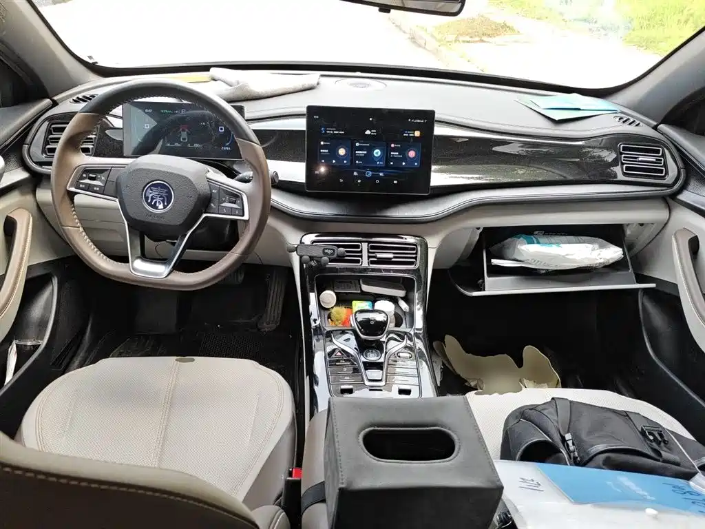 BYD Qin PLUS 2024 Glory Edition DM-i 55KM Leading фото 6