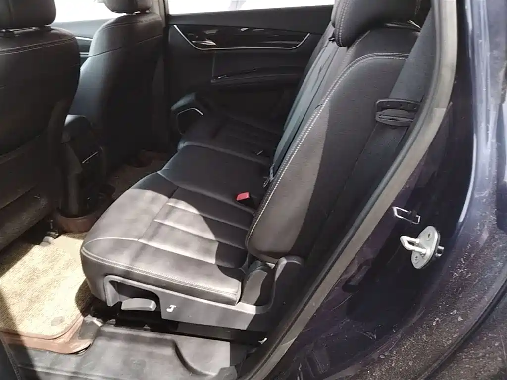 BYD Song MAX 2019 1.5T Auto Smart Connect Progressive 7-seater China V фото 17
