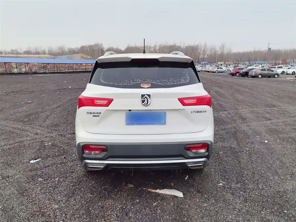 BAOJUN 530