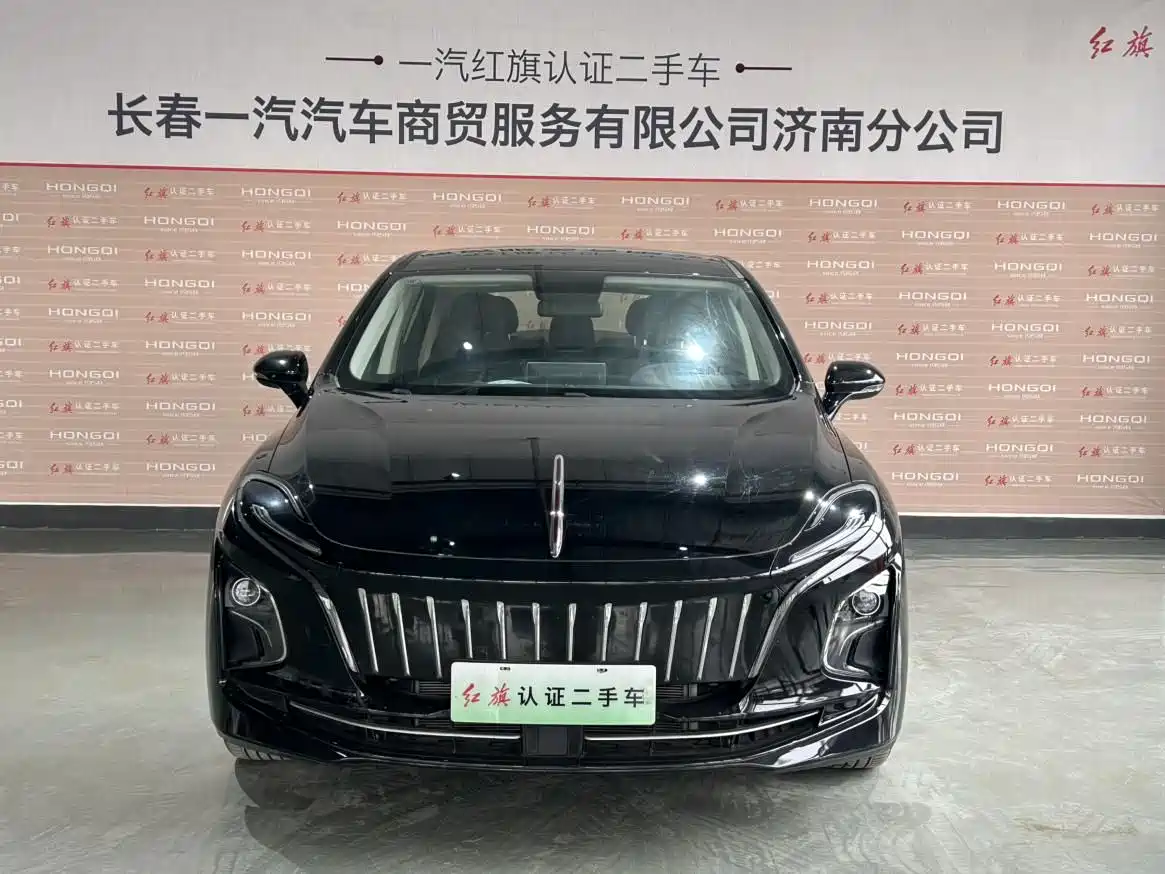 Hongqi HONGQI E QM5