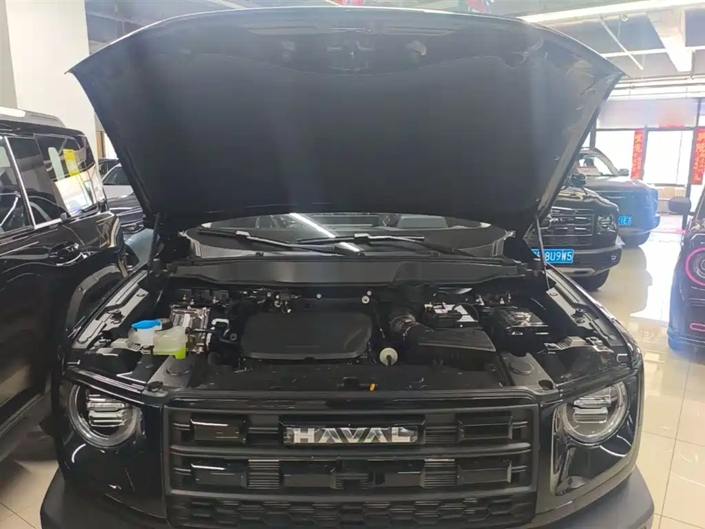 Haval Big Dog 2026 Model 1.5T High Configuration фото 20