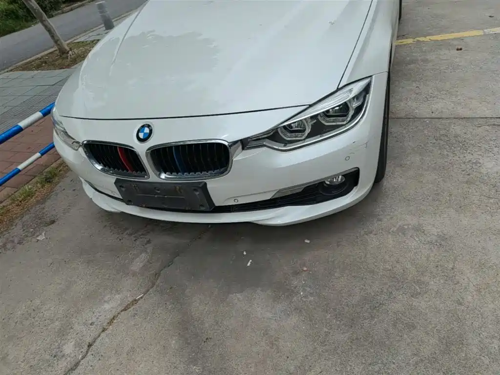BMW 3 Series 2017 320Li Fashion фото 24