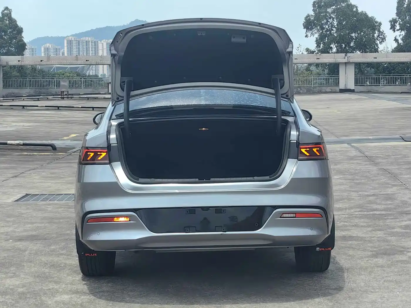 BYD Qin PLUS 2023 Champion Edition DM-i 120KM Leading Type фото 7
