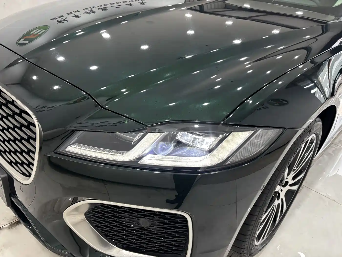 Jaguar XFL 2024 2.0T P250 2WD Premium Luxury фото 9