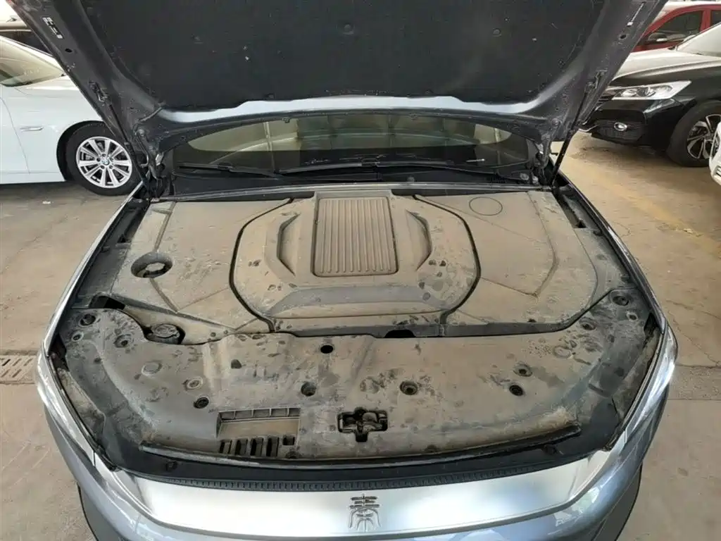 BYD Qin PLUS 2024 Glory Edition EV 420KM Surpass фото 20