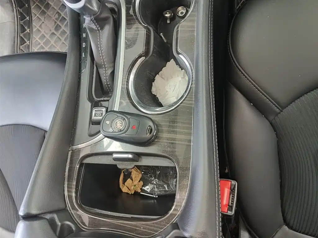 Buick Envision Plus 2019 20T 2WD Leading Type China V фото 9