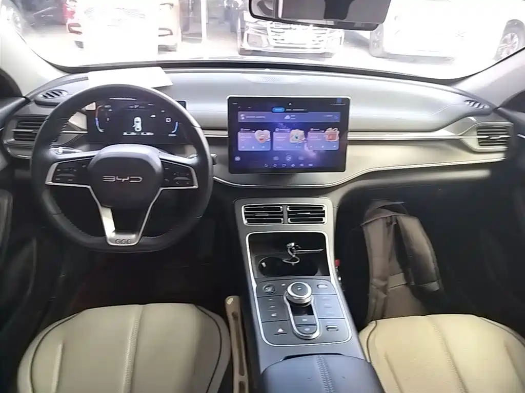BYD Destroyer 05 2024 Glory Edition DM-i 55KM Luxury фото 10
