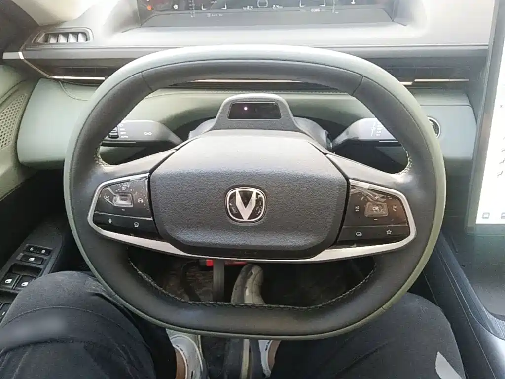 Changan Yida 2024 2023 Blue Whale NE 1.5T GDI DCT Pilot