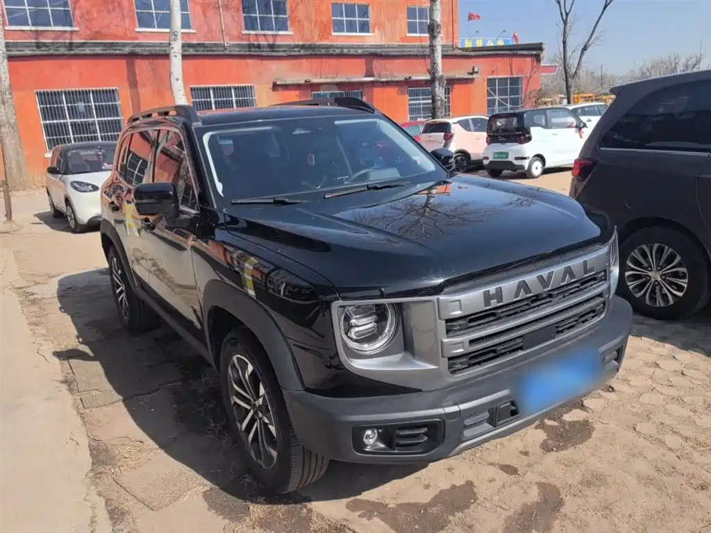 Haval Big Dog 2024 1.5T DCT Border Collie Edition фото 4