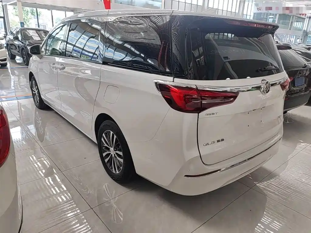 Buick GL8 2021 ES Landlord 653T Premium фото 5