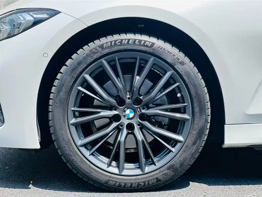 BMW 3 Series 2023 325Li M Sport Black Night Package фото 9