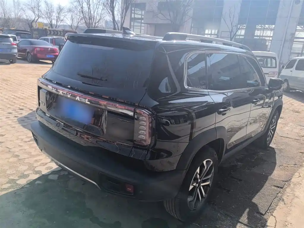 Haval Big Dog 2024 1.5T DCT Border Collie Edition фото 7