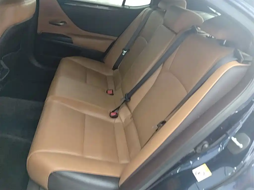 Lexus ES 2018 200 Excellence Edition China V фото 17