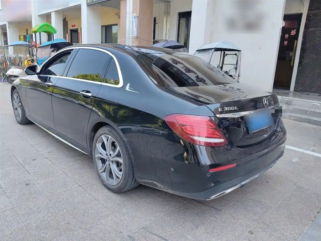 Mercedes-Benz E-Class 2020 E 300 L Sport Luxury Model фото 9