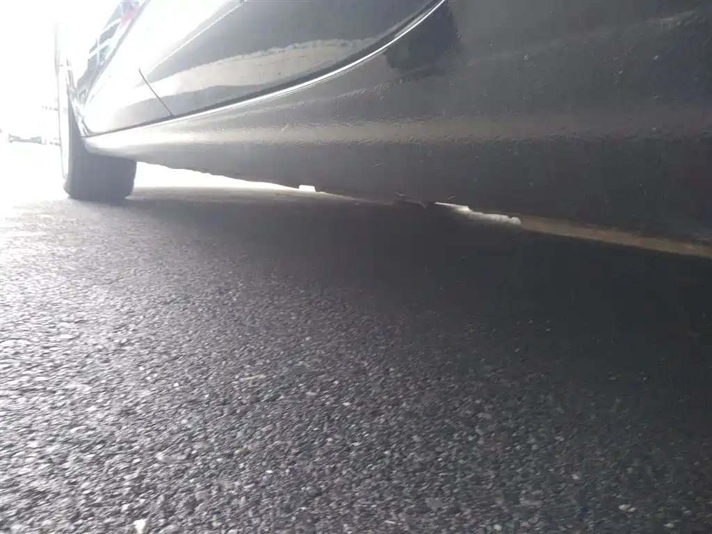 Buick Regal 2017 20T Elite Type фото 21