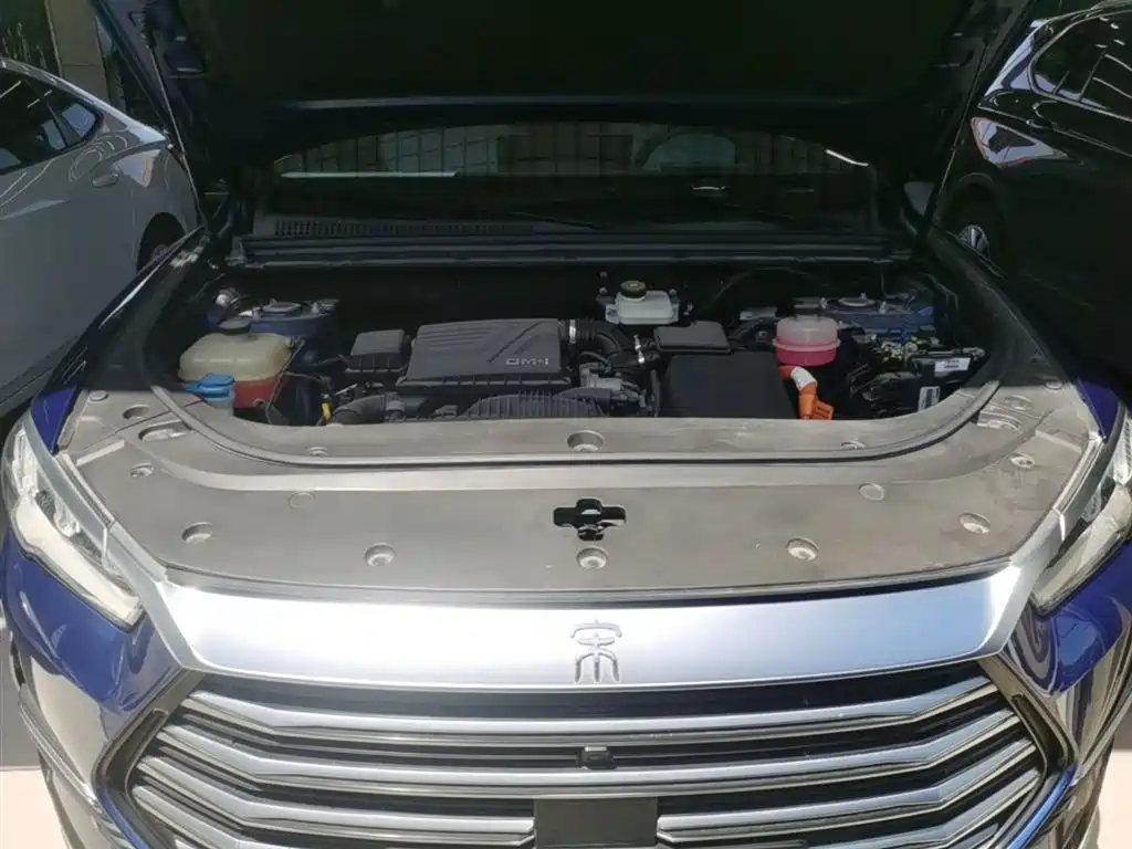 BYD Song Pro New Energy 2022 DM-i 110km Flagship Pro фото 19