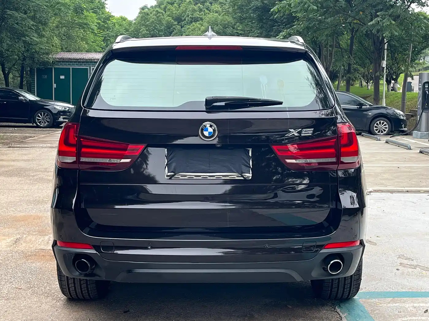 BMW X5 (Import) 2017 xDrive35i Leading Edition фото 6