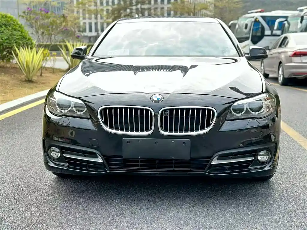 BMW 5 Series 2014 525Li Leading фото 22