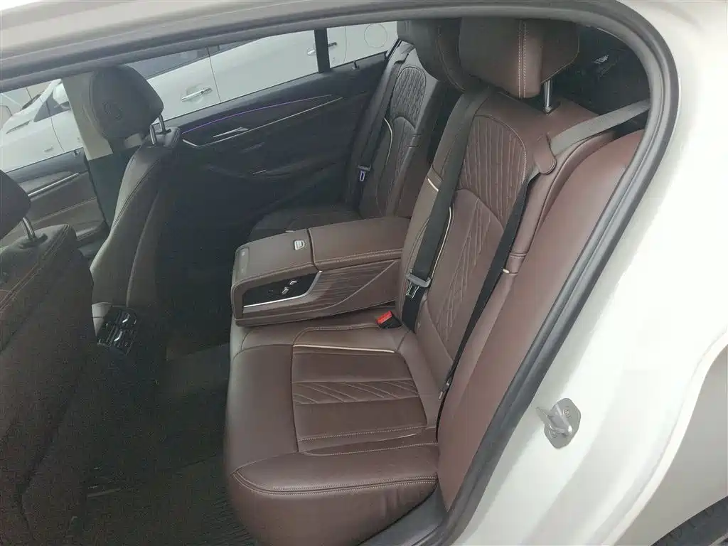 BMW 5 Series 2018 Facelift 530Li Leading Luxury Package фото 13