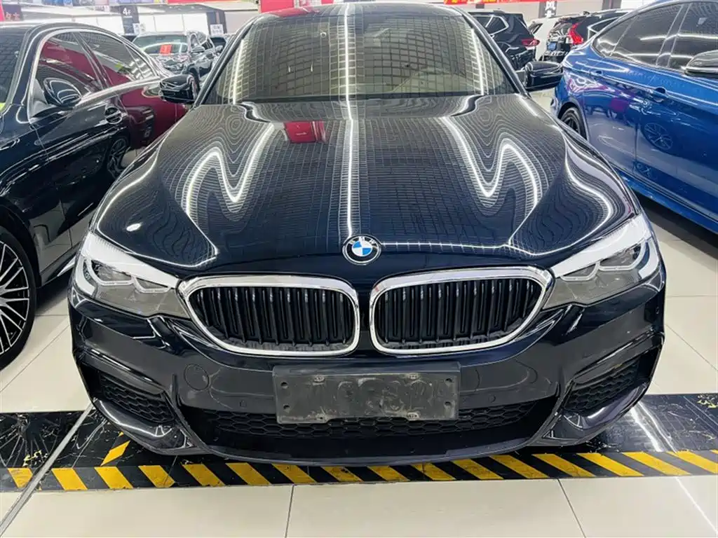 BMW 5 Series 2019 525Li M Sport Package фото 9