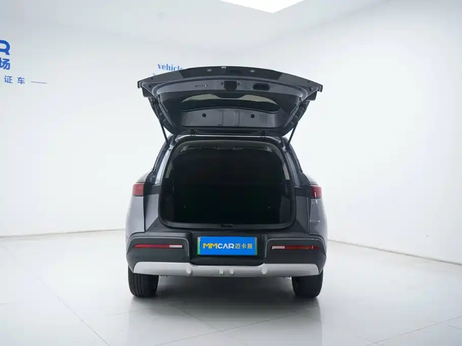 BYD Yuan UP 2024 2024 401KM Surpass Edition